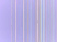 Frenchymulan
